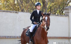 雪莉蕾丝睡衣自拍